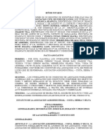 Constitucio, Estatuto y Consejo Directivo