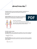 Anatomia Teorica Clase 1 Resumen