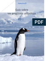 Pingüinos 