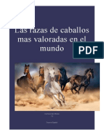 Los Caballos