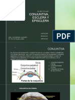 Conjuntiva, Esclera y Episclera