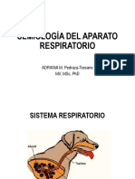 Semiología Del Aparato Respiratorio PDF