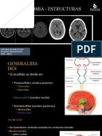 Neuroanato