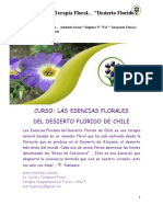 Desierto Florido 20