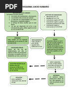 Esquema de Juicio Sumario