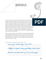 Nervous System Worksheets1