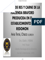 74-Calidad Braford