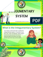 Integumentary System