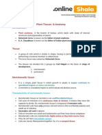 Plant Tissues & Anatomy