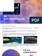 Bacteriófagos