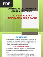 Clasificación y Tipificación de La Carne.