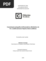 Caracterização Petrográfica de Reservatórios Siliciclásticos Da Fm. Lourinhã (Jurássico Superior, Bacia Lusitânica)