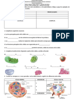 Plan de Mejoramiento de Ciencias Naturales Primer Periodo