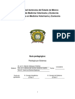 Guia Pedagogica de Patologia Por Sistemas PDF