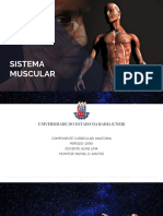 Anatomia - Sistema Muscular