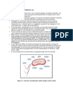 Genome Organization in E. Coli