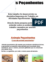 Animais Peçonhentos