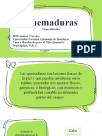 Quemaduras Generalidades