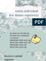 Anatomia Individual Dos Dentes Superiores