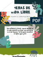 Amebas de Vida Libre: Docente: Lic: Cinthia Rioja Sierra