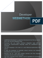 Web Methods Developer