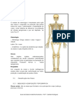 Introdução A Osteologia