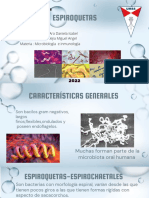 Espiroquetas: Universidad Mayor de San Simón Facultad de Odontología