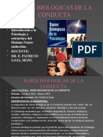 Bases Biologicas de La Conducta: Bloque 1