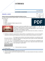 6.relaciones Intra e Interarco