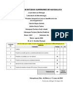 Practica N°7 "Pruebas Bioquímicas para La Identificación de Microorganismos"