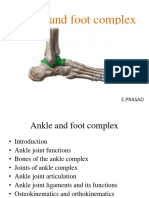 Ankle Joint