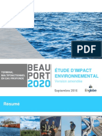 Étude D'Impact Environnemental: Résumé