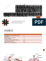 Anatomia Radiologica - Carlos Ramirez