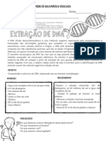 Extração de Dna: Roteiro de Aula Prática-Biologia