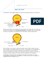 Adénomectomie Prostatique Voie Haute - Centre D'urologie Urovar