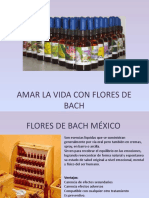 Amar La Vida Con Flores de Bach