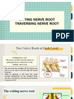 Exiting Nerve Root Traversing Nerve Root