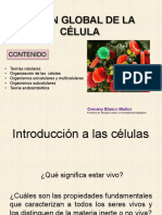 Célula