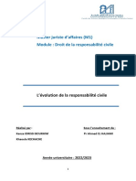 Master Juriste D'affaires (M1) Module: Droit de La Responsabilité Civile