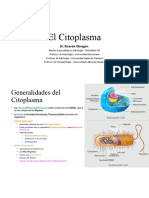 El Citoplasma: Dr. Ricardo Obregón