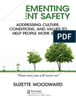 Implementing Patient Safety-Addressing Culture, Conditions and Values To Help People Work Safely by Suzette Woodward (Author)