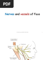 Nerves and Vessels of Face