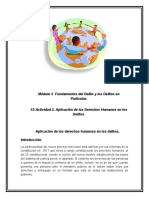 Módulo 5 Fundamentos Del Delito y Los Delitos en Particular. S5 Actividad 2. Aplicación de Los Derechos Humanos en Los Delitos