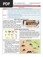 2do Sec Cyt: Act. 08: Diseñamos Y Elaboramos Una Compostera Casera Como Una Alternativa de Solución