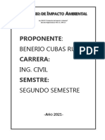 Relatorio de Impacto Ambiental - Benerio Cubas Ruiz