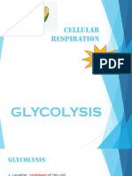 Lesson #3 - Cellular Respiration - The Details