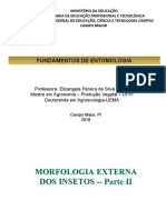 Fundamentos de Entomologia