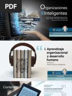 Organizaciones Inteligentes