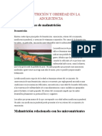 Mal Nutrición y Obesidad en La Adolecencia Web PG