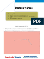 RM S2M Perimetros y Areas